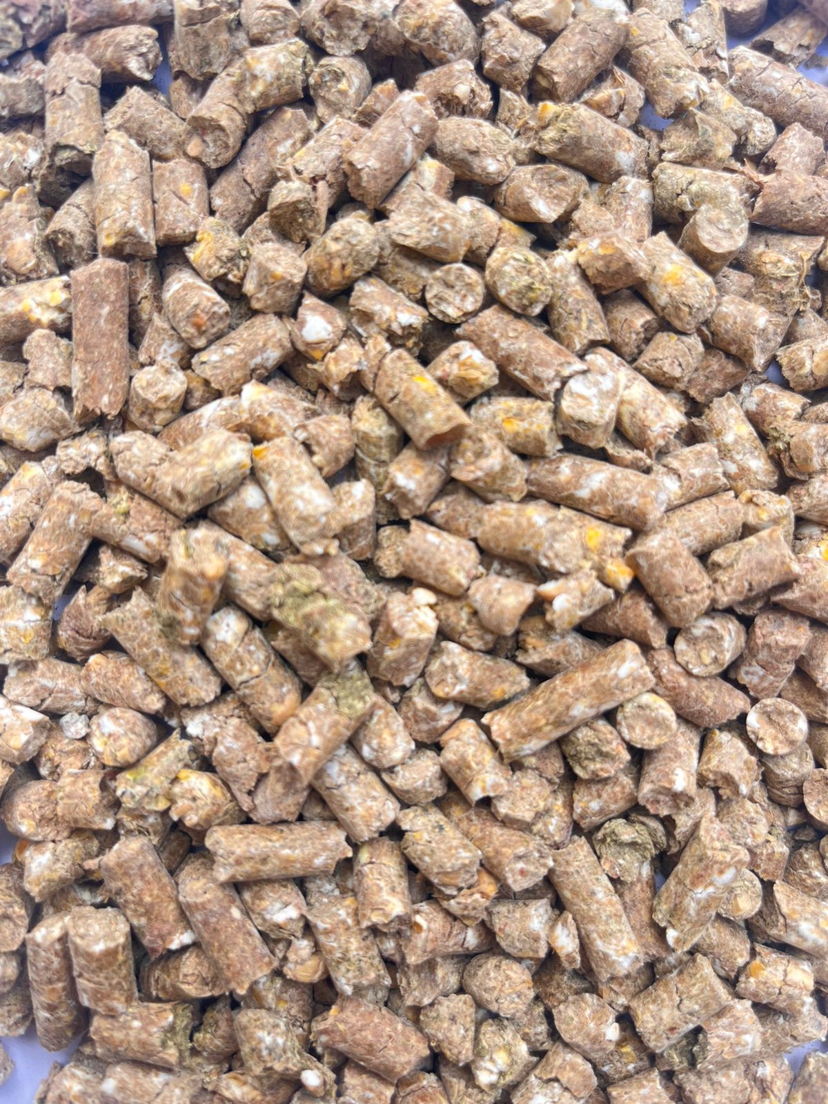 Chamelon FEED Details